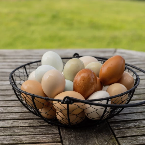 Brett med egg