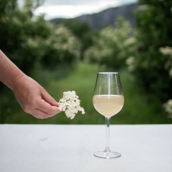 Økologisk hylleblomstdrikke  og sirup fra Telemark - fra naturen til deg!