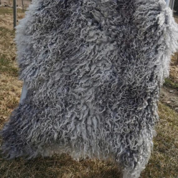Saueskin
