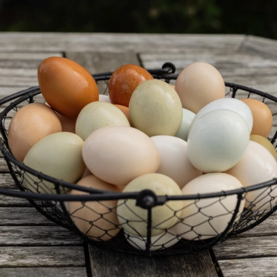 Salg av egg