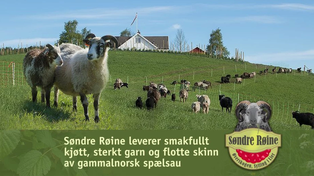 Vi leverer smakfullt kjøtt i topp kvalitet