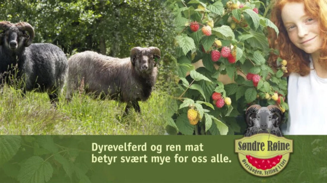 Dyrevelferd er viktig for oss