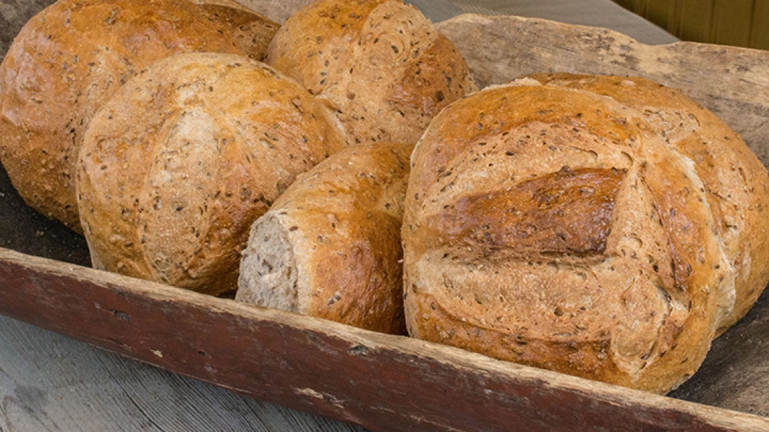 Runde frøbrød