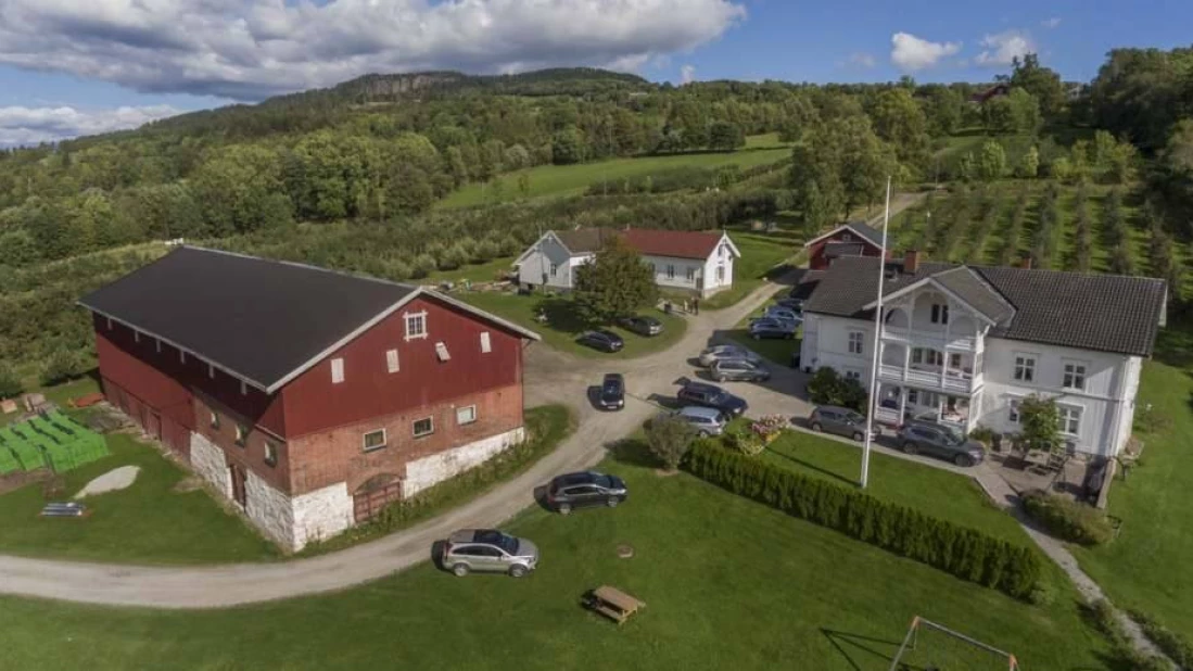 Vi er stolte over å kunne vise fram resultatet av årets arbeid. Vi gir god personlig oppfølging, viser vei og svarer på alle spørsmål dere måtte ha om norsk frukt. Emballasje til å plukke i fås kjøpt, eller dere kan ta med hjemmefra det dere vil plukke i.