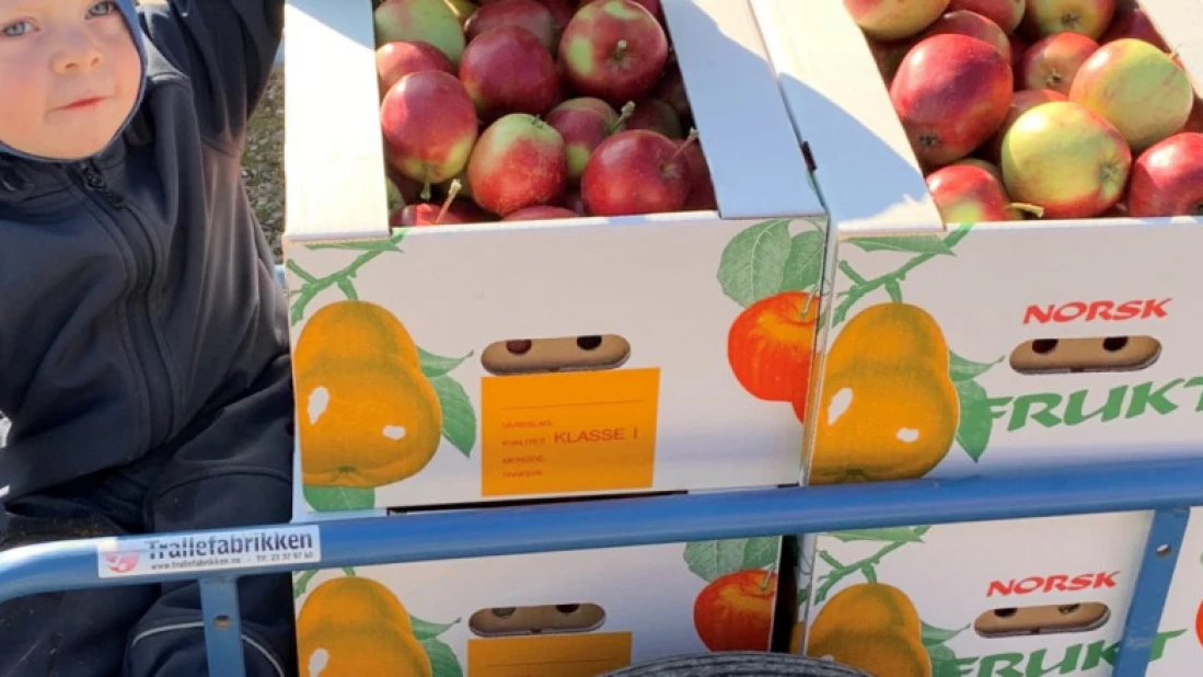Gode epler i store kvanta