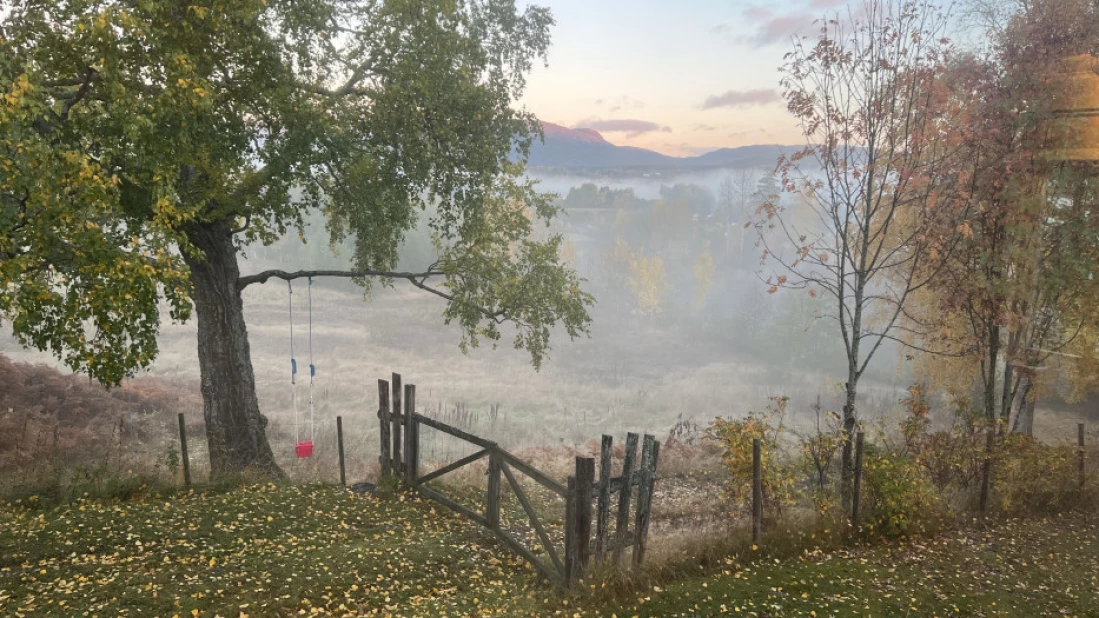 En drøm å våkne til dette i forhold til blokka ved siden av i Oslo